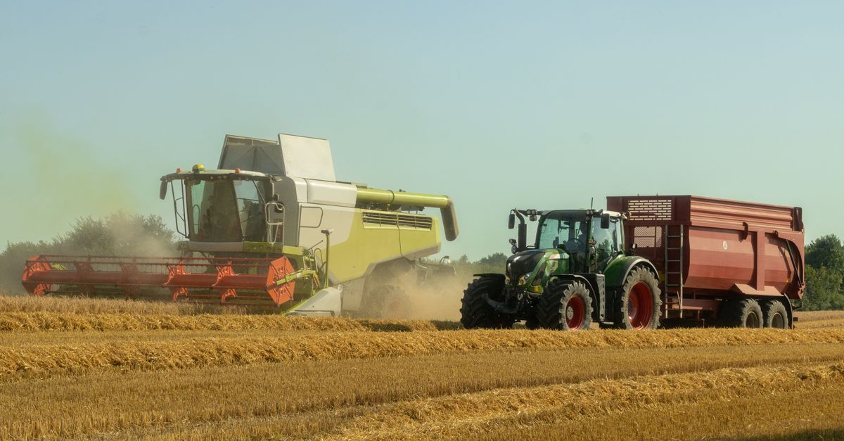 A combine harvester and tractor operate in a sunlit wheat field, capturing the essence of modern agriculture.